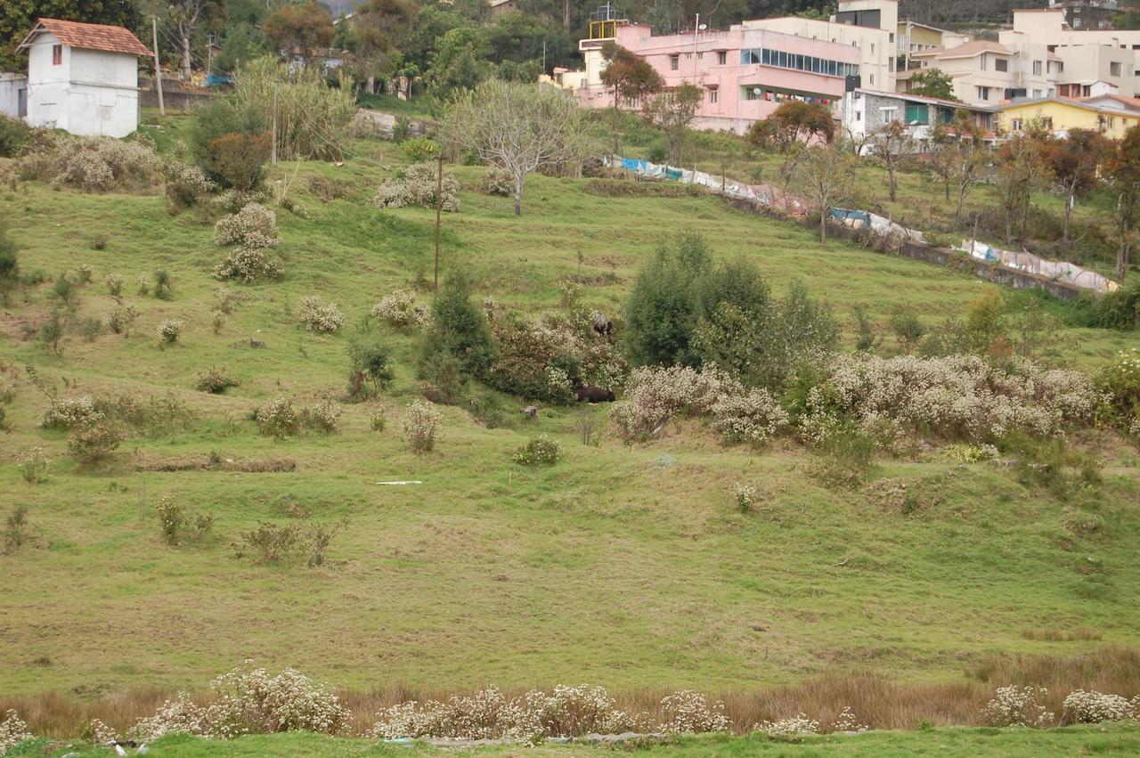 Brookside Hotel Kodaikanal Kültér fotó